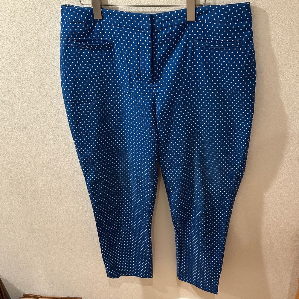 Talbots Blue and White Patterned Pants